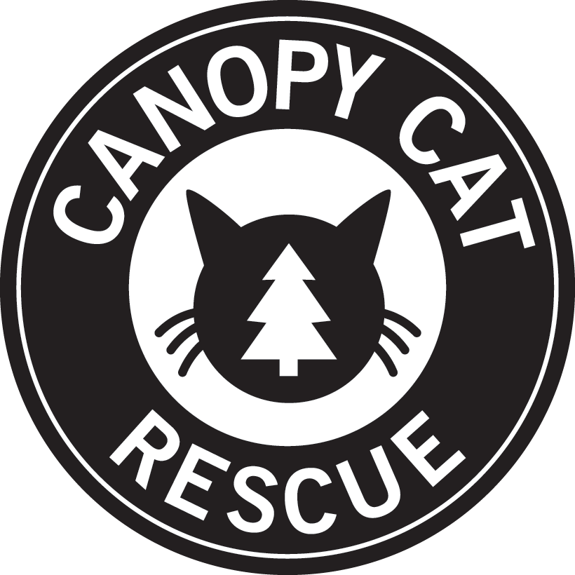 Canopy Cat Rescue