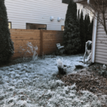 Story When Winterization Was Forgotten_back yard image of house water pipe burst