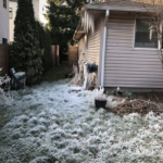 Story When Winterization Was Forgotten_side back image of house water pipe burst