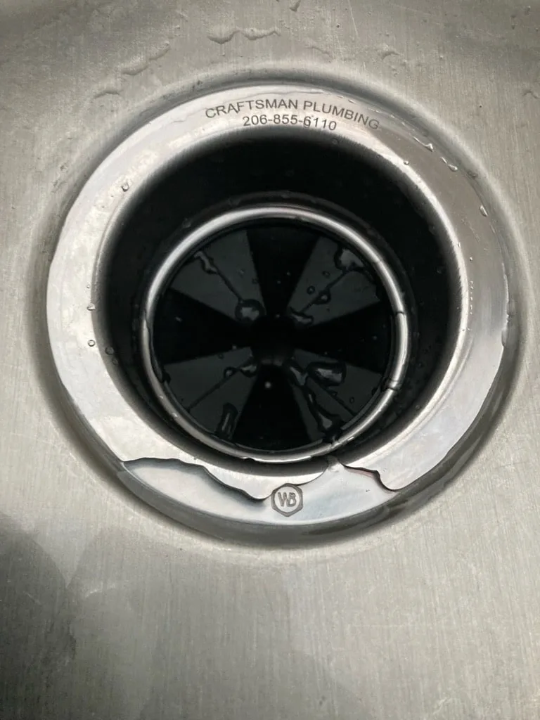 drain cleaning