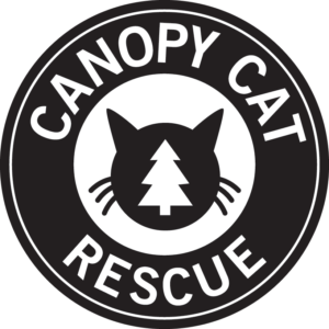 Canopy Cat Rescue