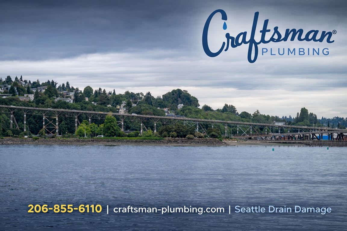 seattle plumbing experts are warning about drain damage