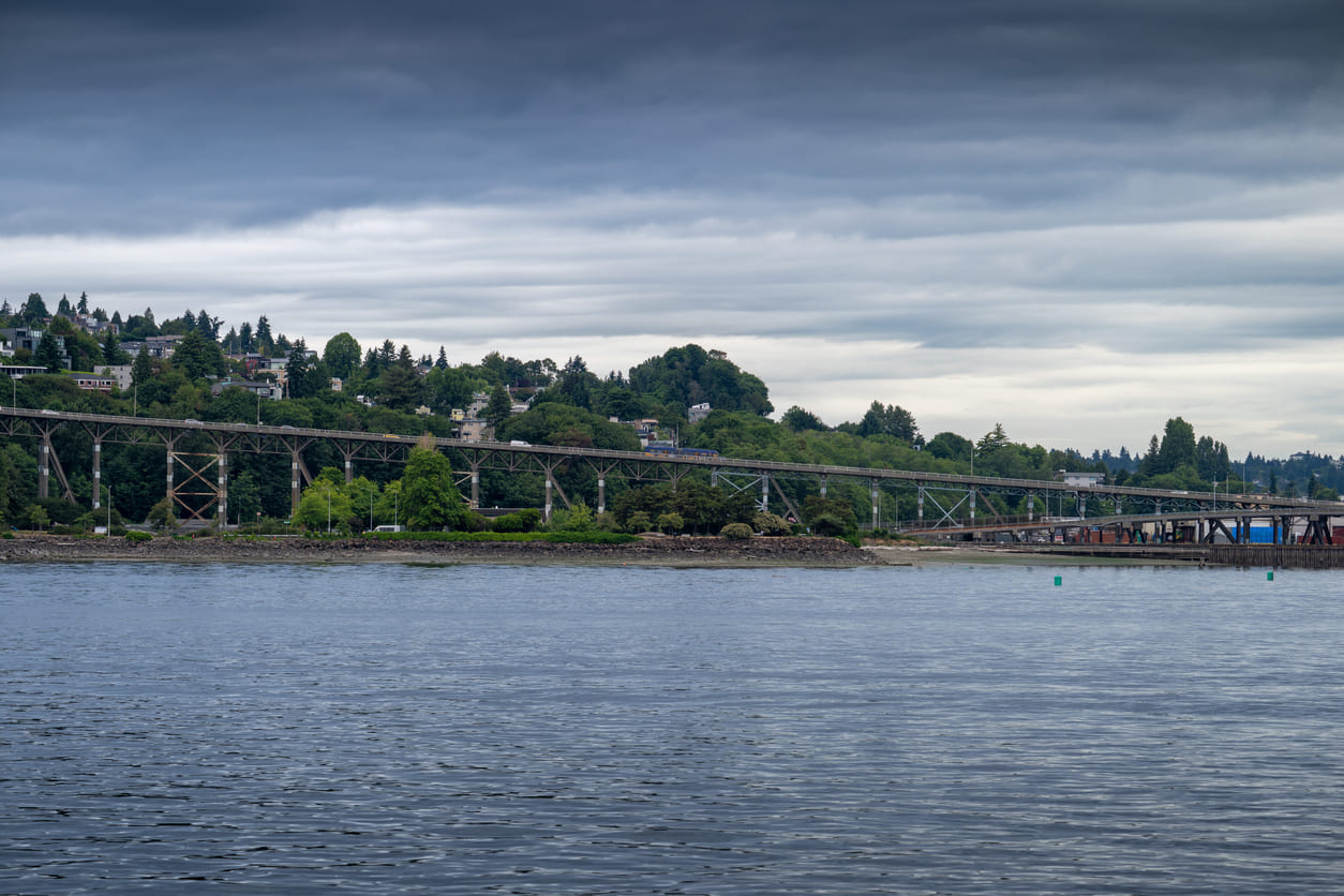dealing with drain damage in seattle home craftsman plumbing